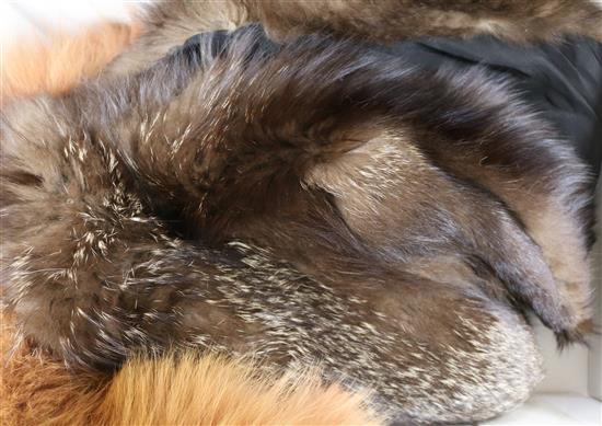 A fox fur cape and red fox collar